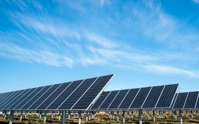 Studija utjecaja na okoliš za solarnu elektranu u Stocu